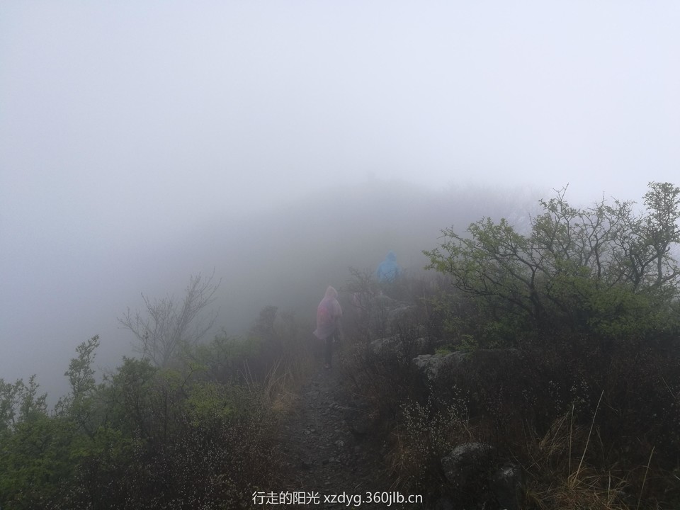 mmexport1556425541445