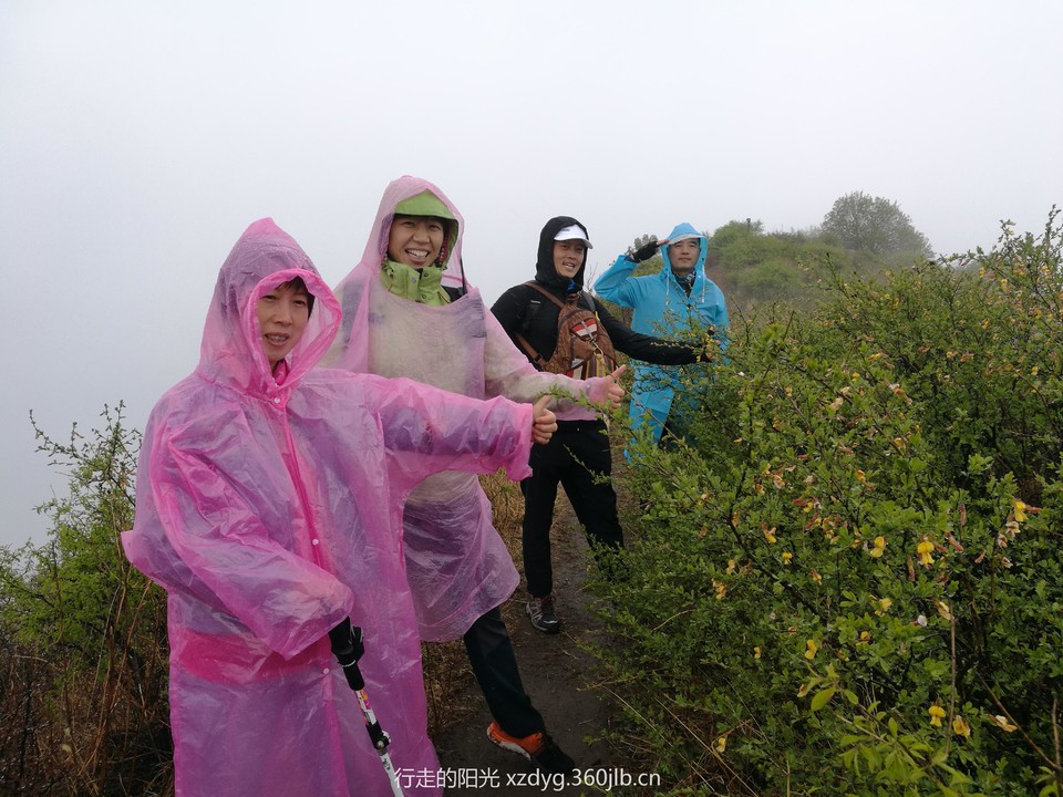 mmexport1556425602219