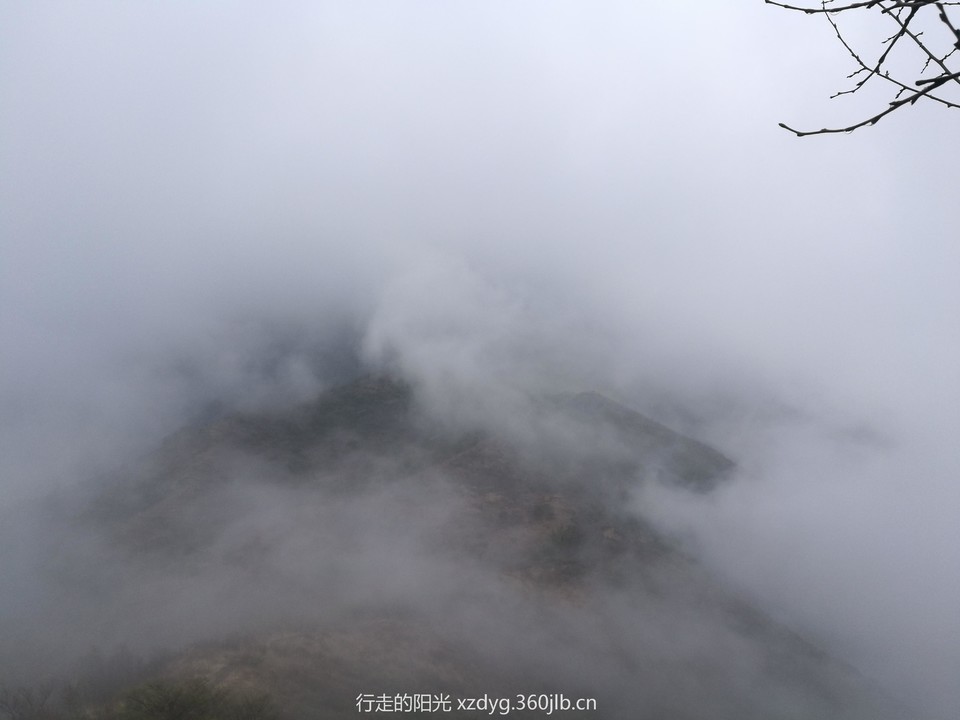 mmexport1556425624782