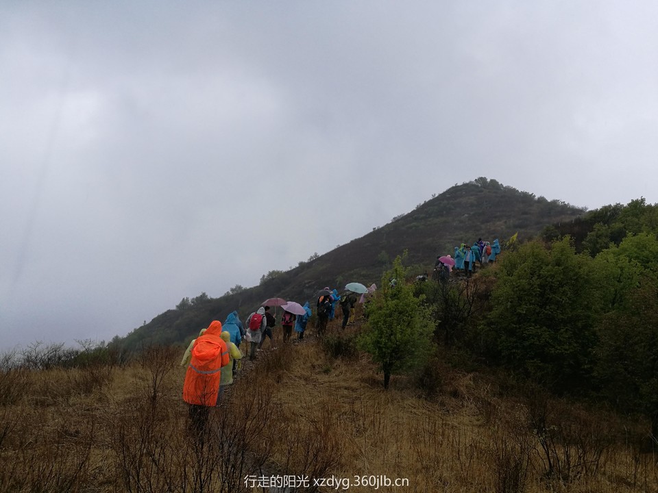 mmexport1556425660384