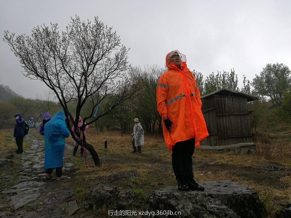 mmexport1556425681401