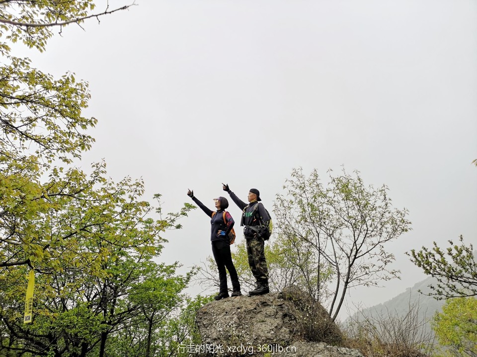 mmexport1556425724555