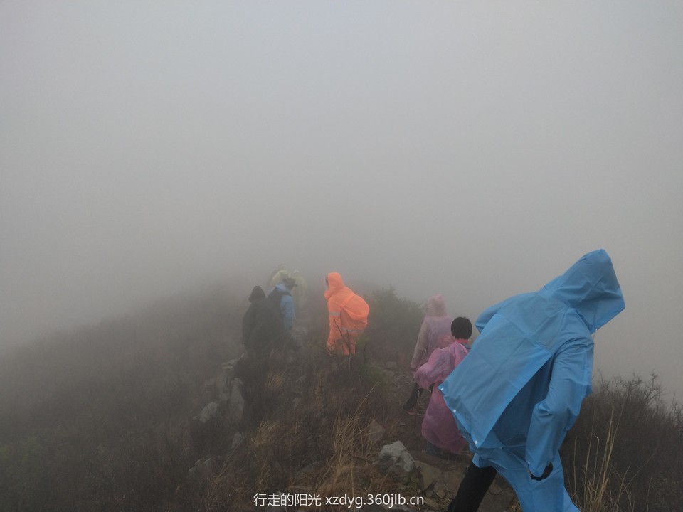 mmexport1556425918923