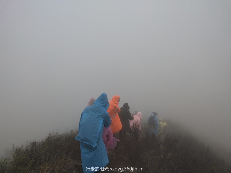 mmexport1556425946291