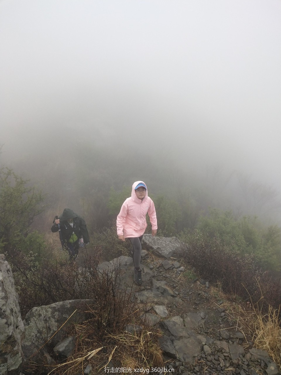 mmexport1556426106155