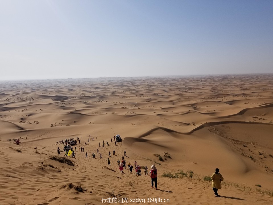 mmexport1557022175530