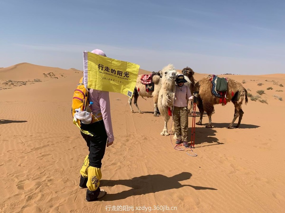 mmexport1556949672939