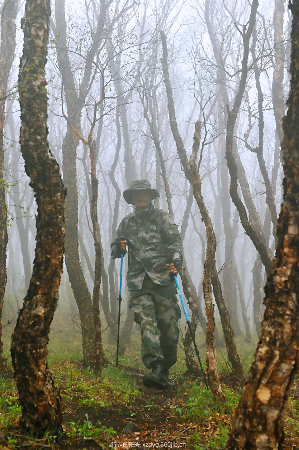 mmexport1558228498502