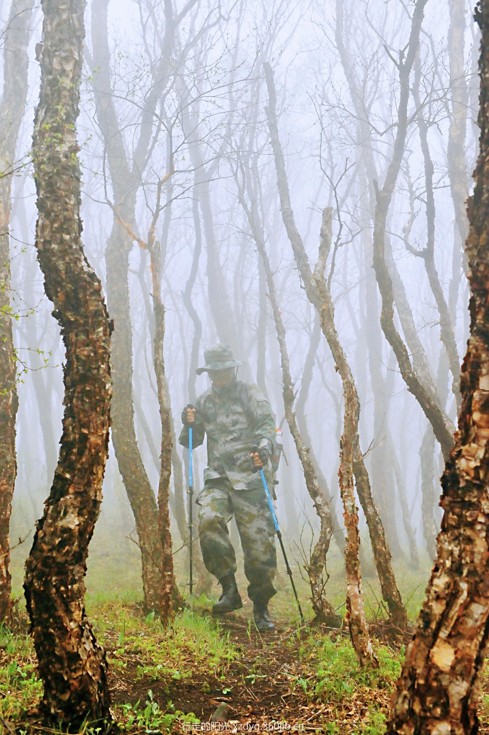 mmexport1558228502439