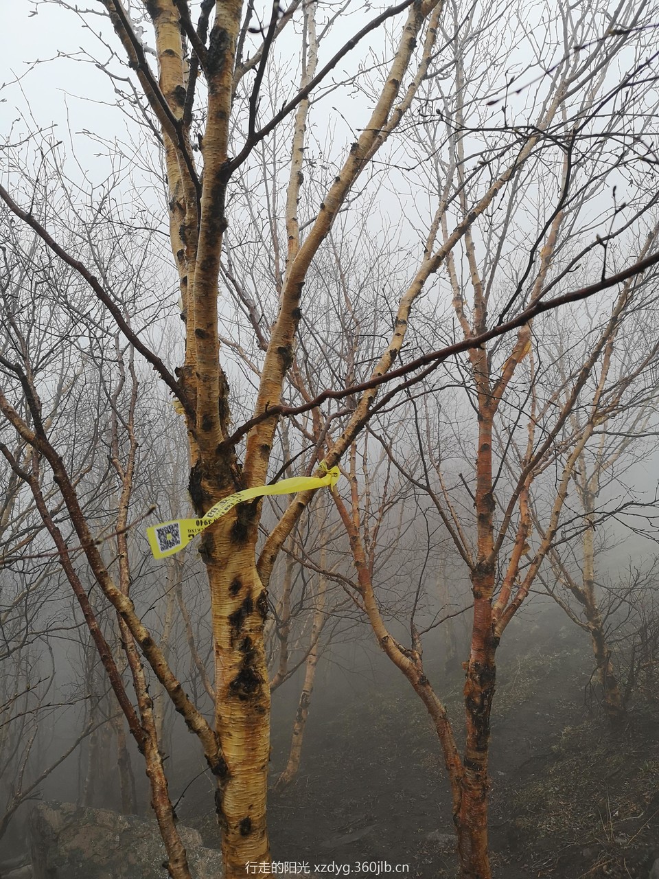 mmexport1558237459437