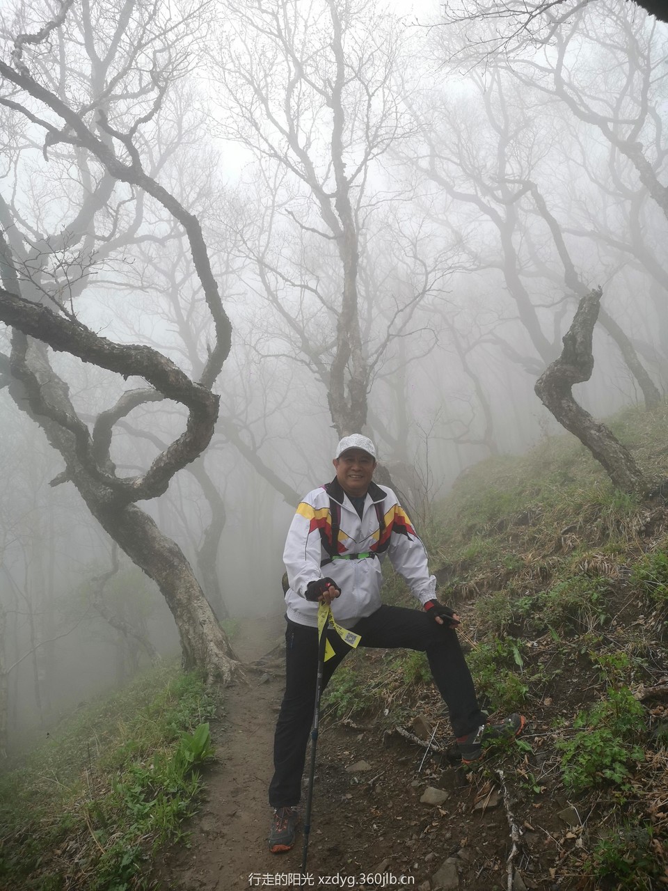 mmexport1558237472196