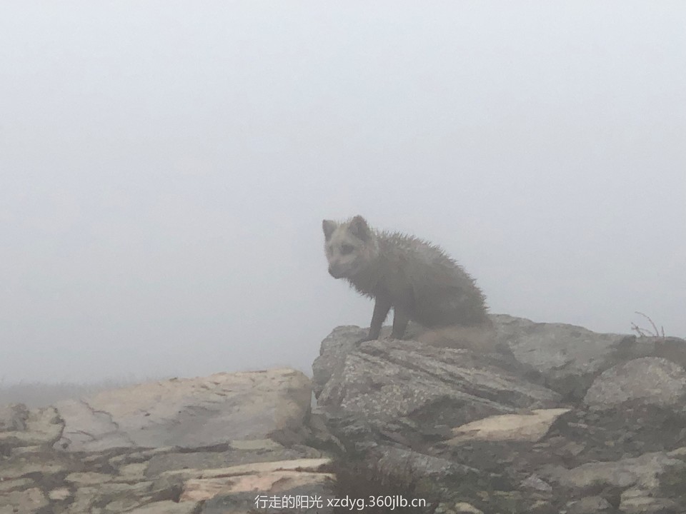 mmexport1558237858146