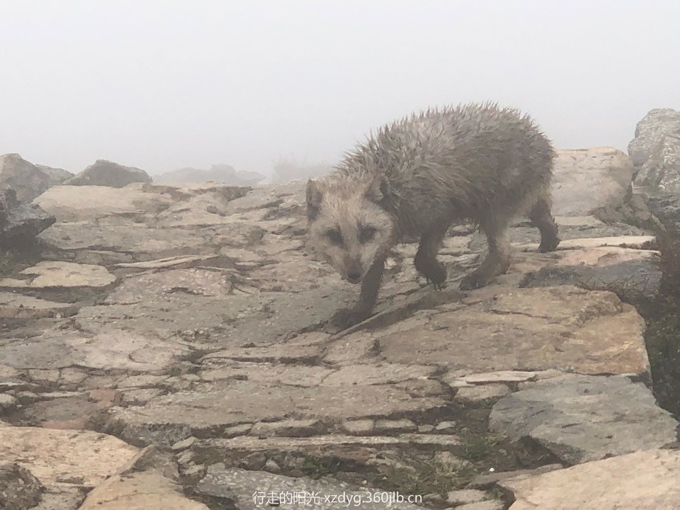 mmexport1558237873315