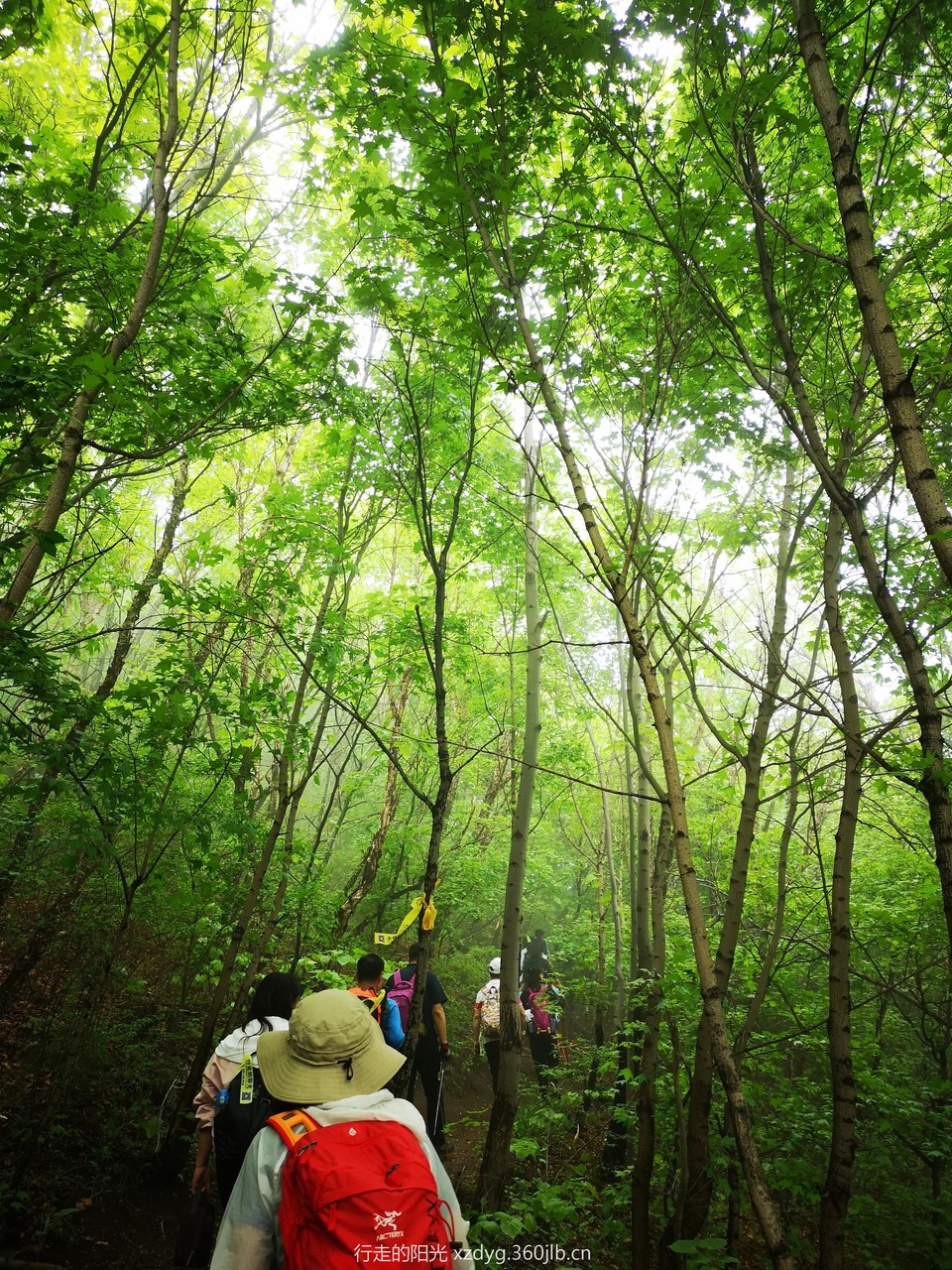 mmexport1558238302051