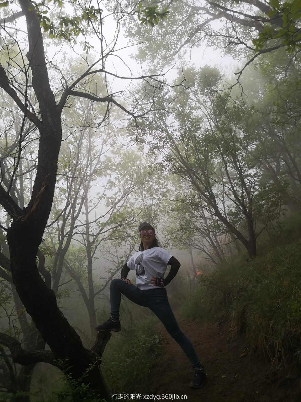 mmexport1558239116943