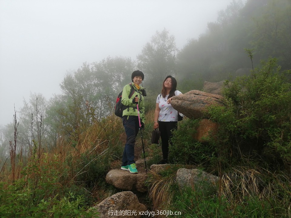 mmexport1558239408544