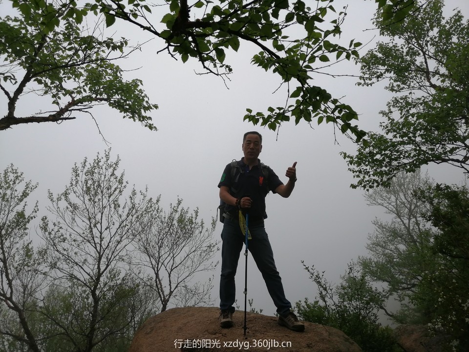 mmexport1558239428951