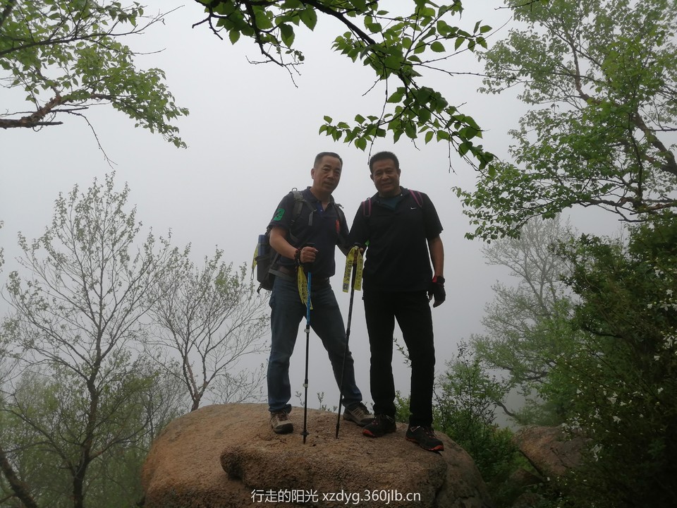 mmexport1558239449374