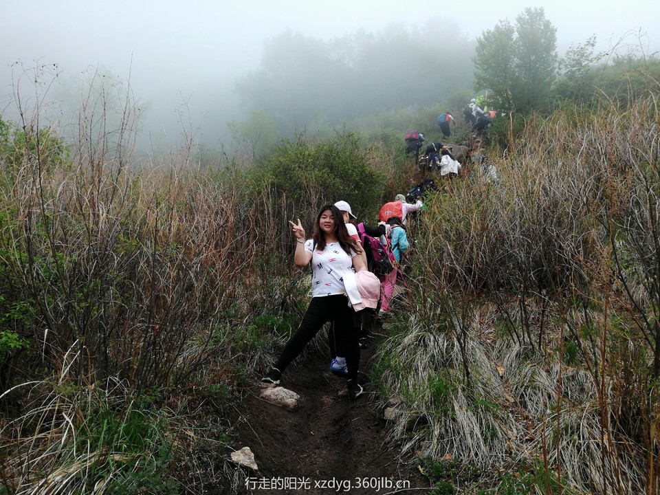 mmexport1558239629886