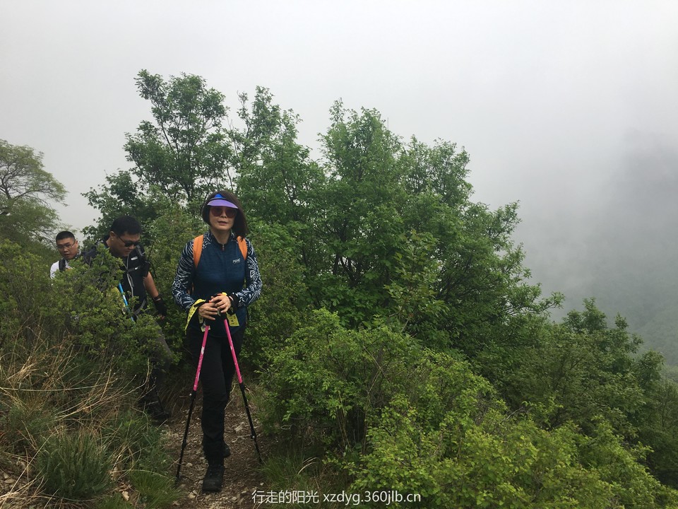 mmexport1558239714967