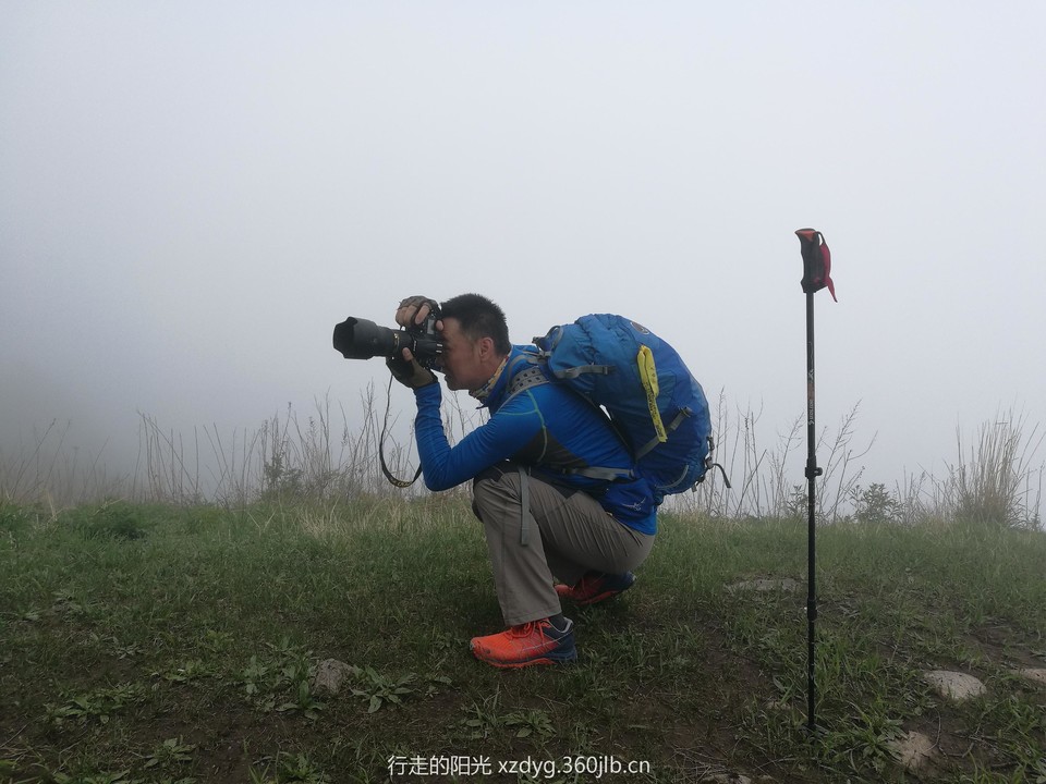 mmexport1558240071100