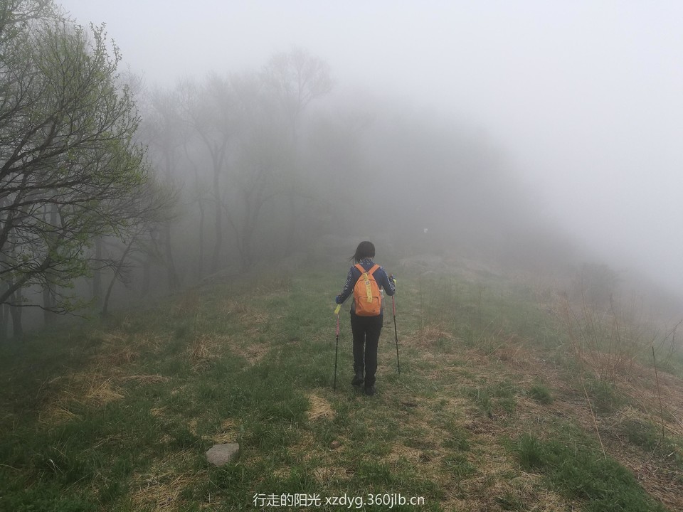 mmexport1558240095801