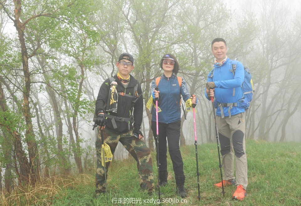 mmexport1558242923935