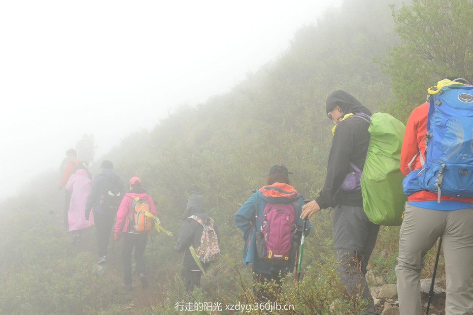 mmexport1558242947458