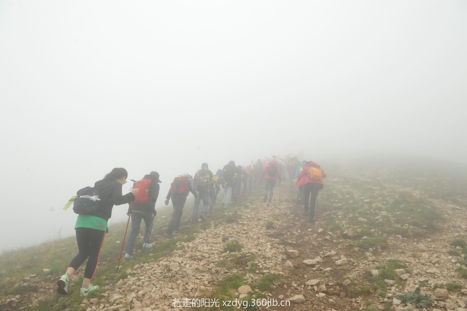 mmexport1558242960676