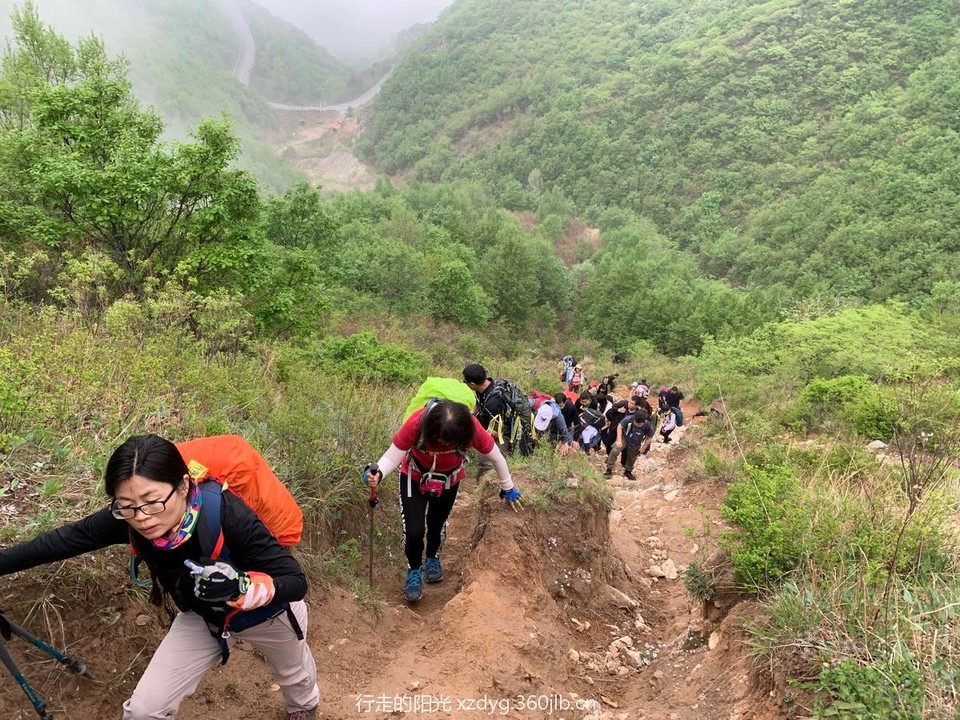 mmexport1558238588967