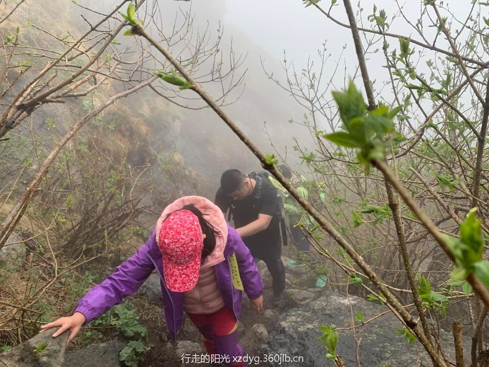 mmexport1558238144018