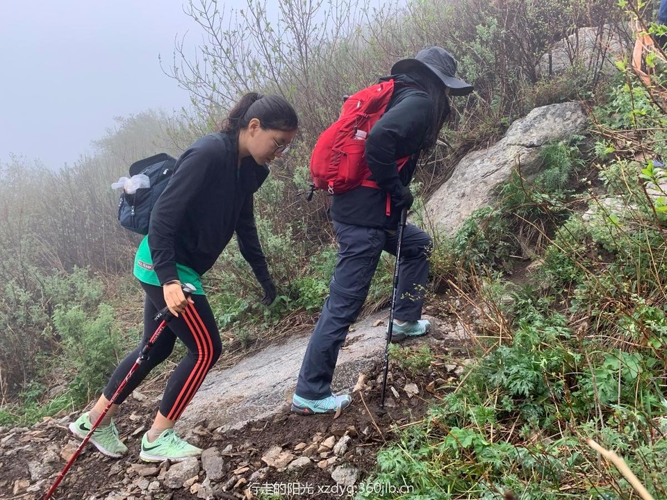 mmexport1558238161800