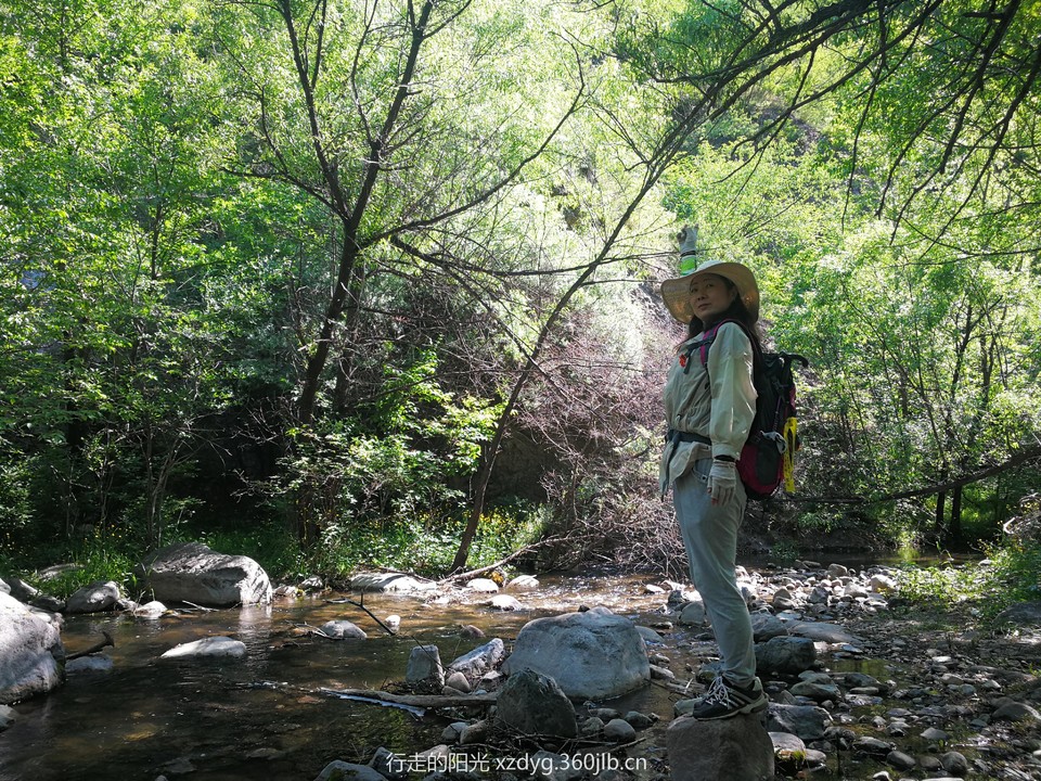 mmexport1560078379048