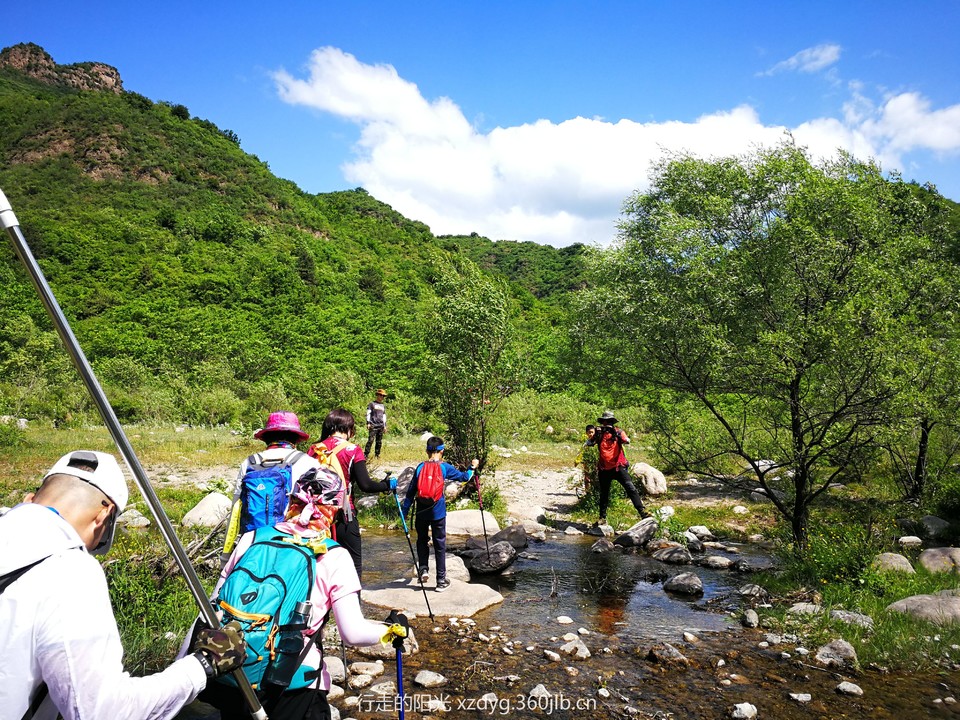 mmexport1560078460883