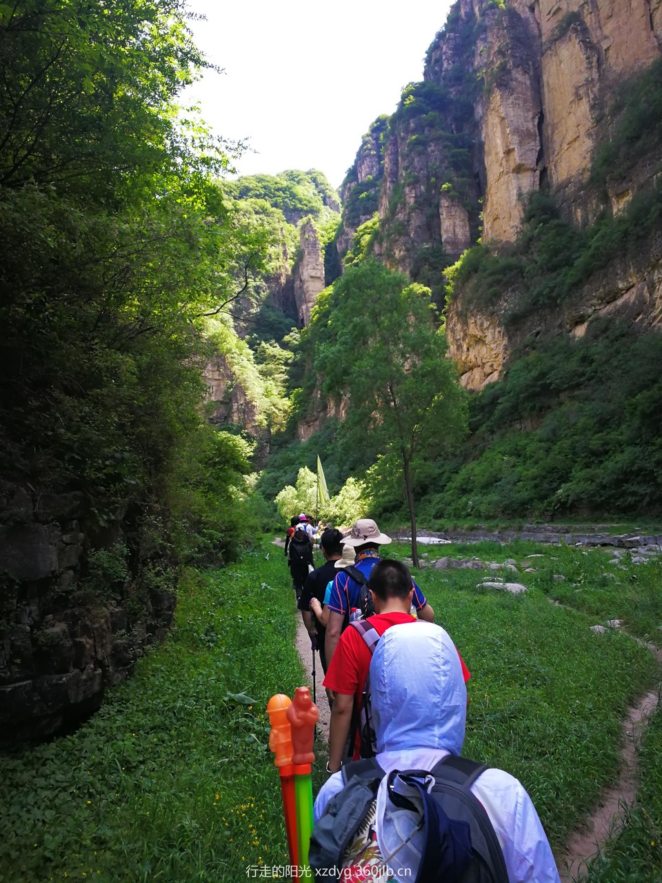 mmexport1560078516283