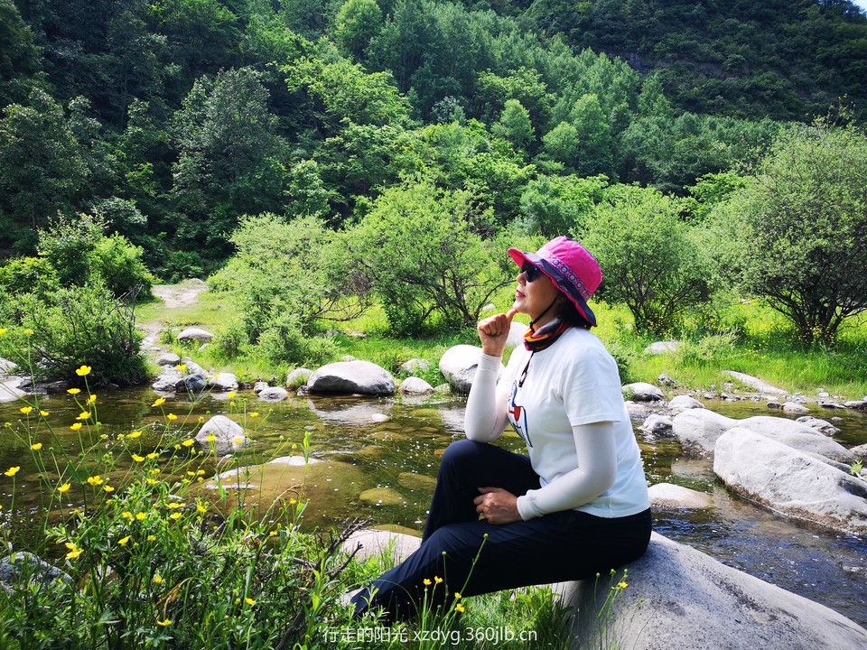 mmexport1560078567494