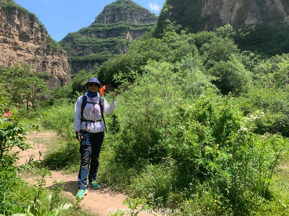 mmexport1560078726235