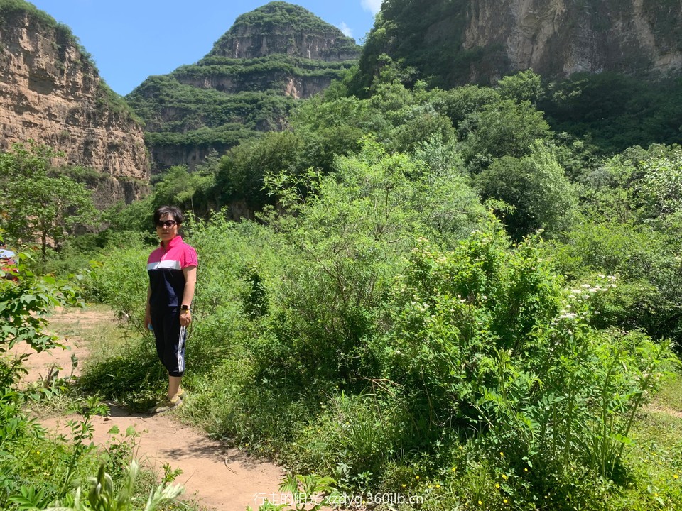 mmexport1560078773868