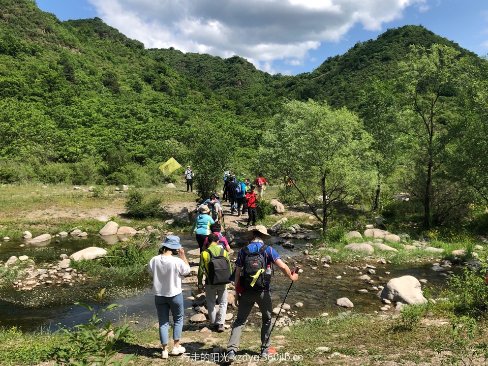 mmexport1560078945600