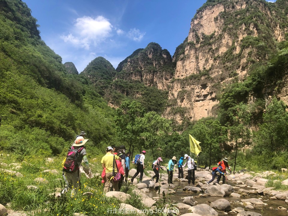 mmexport1560079039500