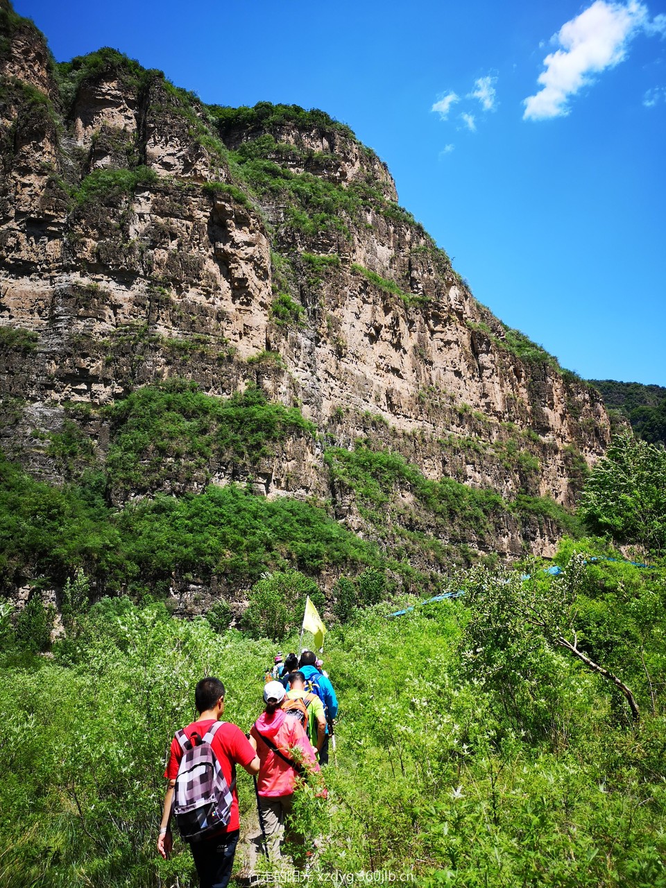 mmexport1560080775100