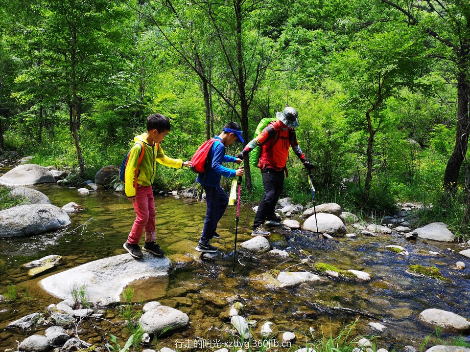 mmexport1560080816058