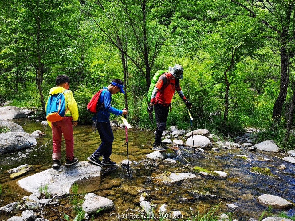 mmexport1560080841422