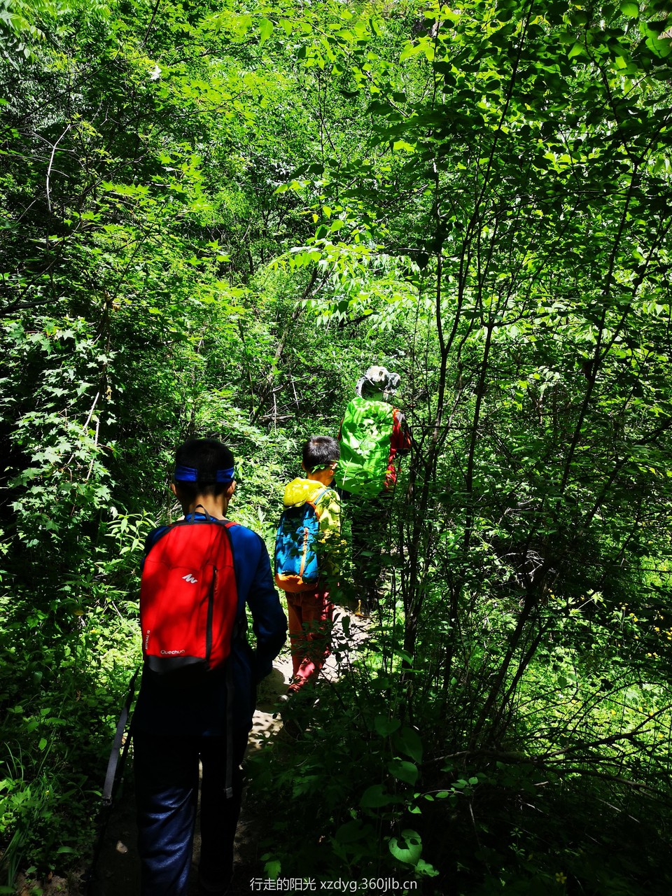 mmexport1560080963422