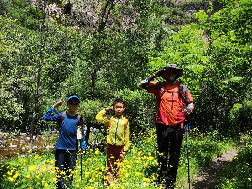 mmexport1560080980196