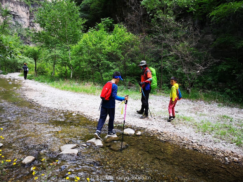 mmexport1560081006192