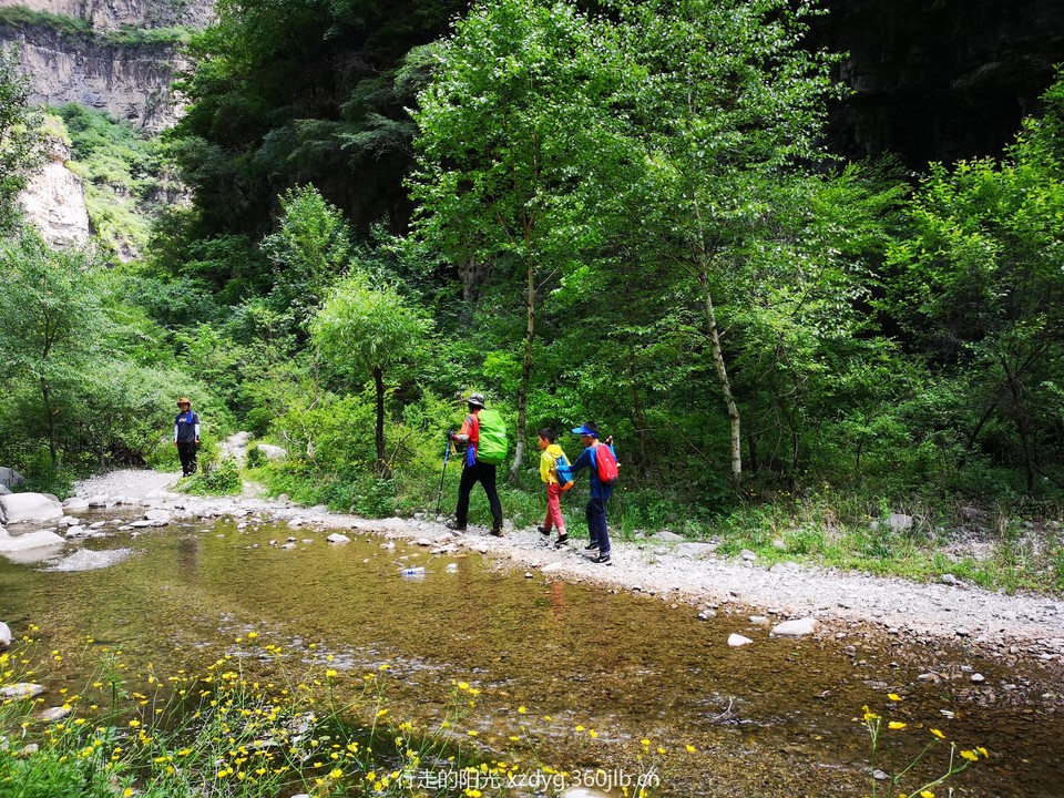 mmexport1560081017507