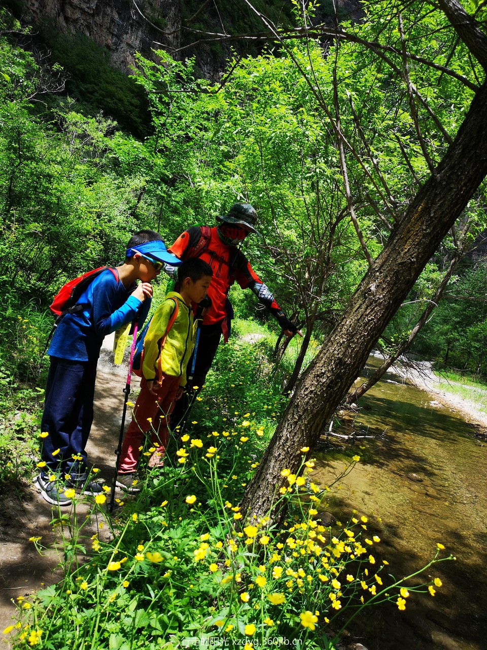 mmexport1560081029266