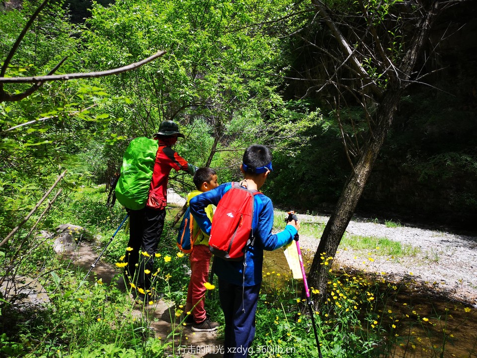 mmexport1560081046519