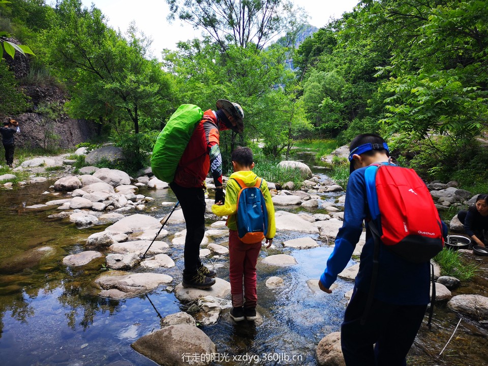 mmexport1560081127299